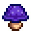 Purple Mushroom