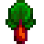 Rhubarb